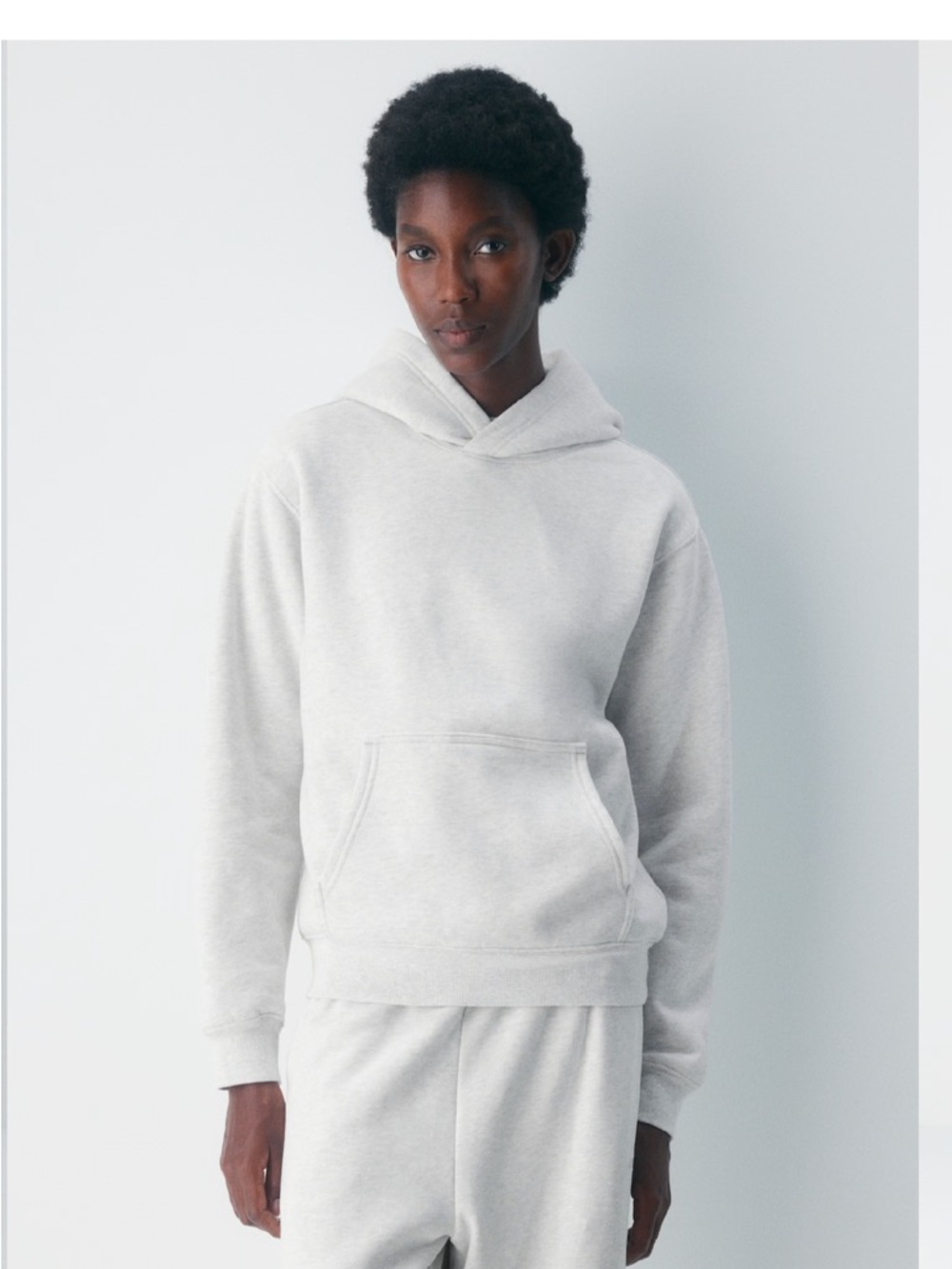 Aritzia Crewneck Hoodie - Light Gray